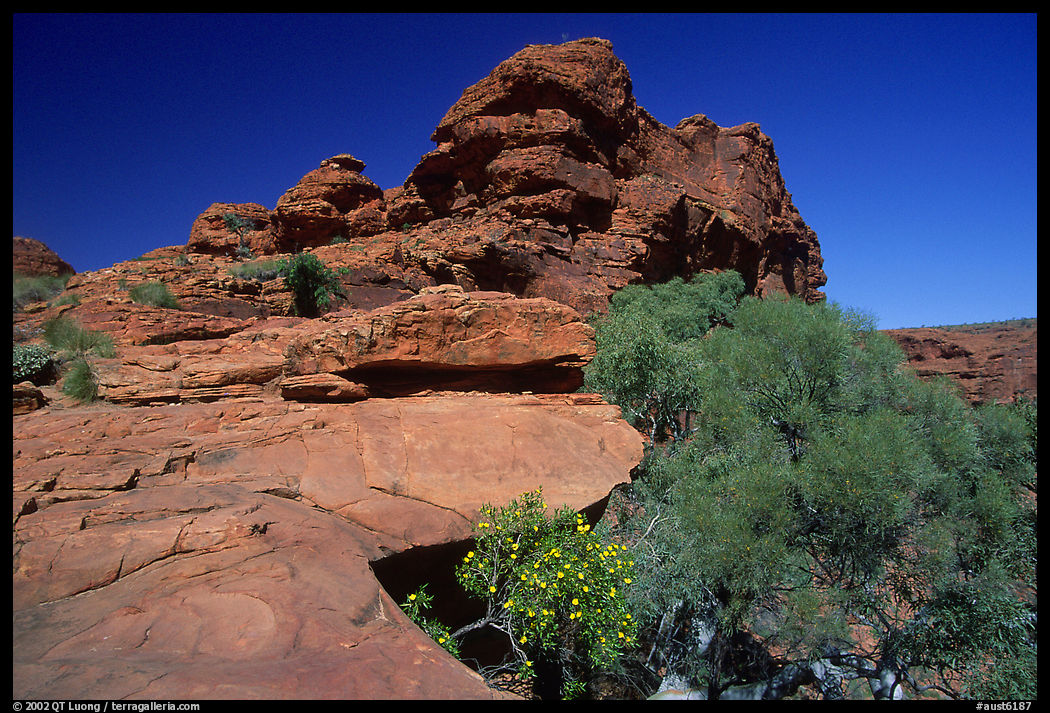 Rock formations in Kings Canyon,  Watarrka National Park. Northern Territories, Australia