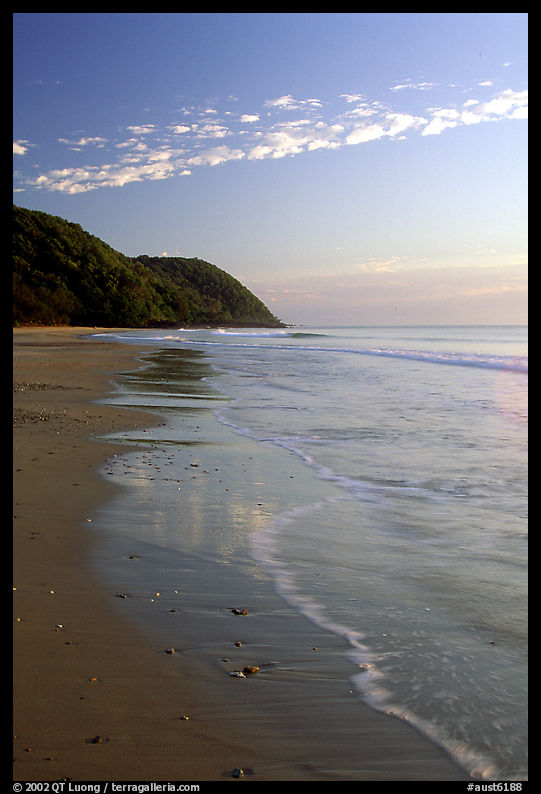 Beach near Cape Tribulation. Queensland, Australia