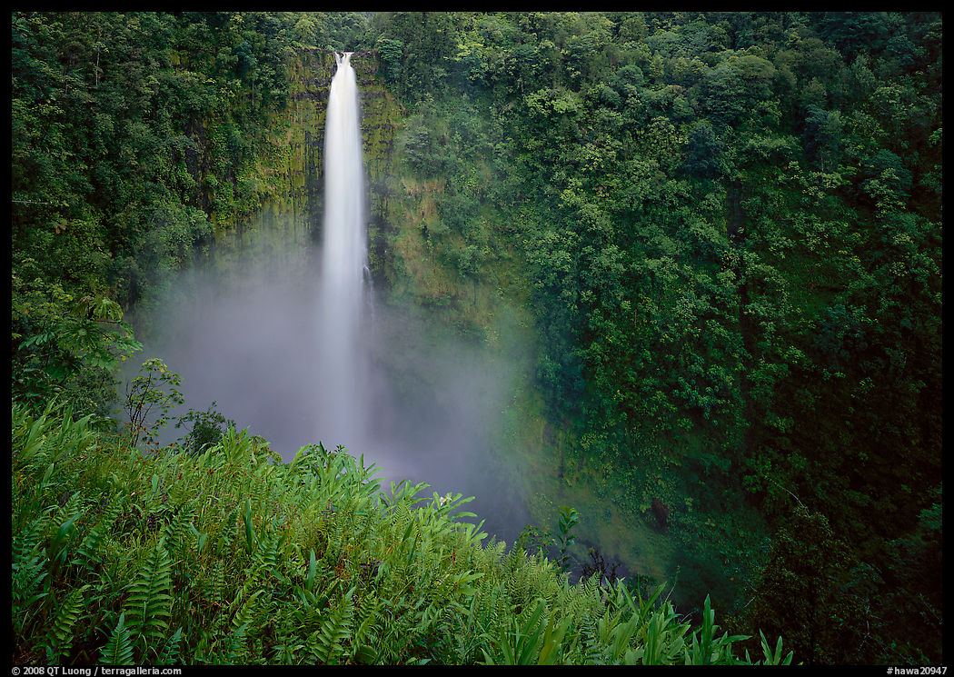 Akaka Falls. Akaka Falls State Park, Big Island, Hawaii, USA