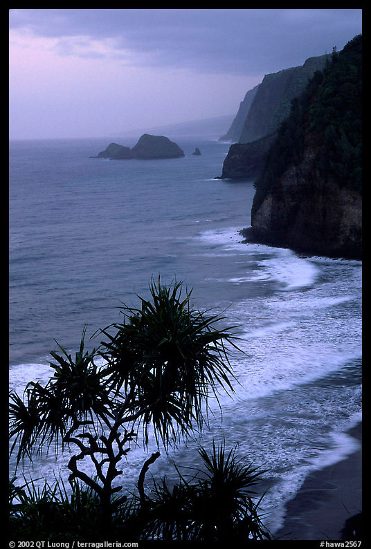 Untamed coast of the North shore from Polulu Valley overlook, dusk. Big Island, Hawaii, USA