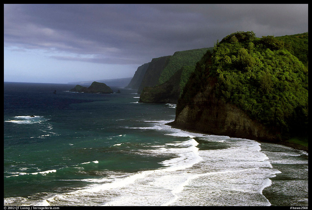 North shore coast from Polulu Valley overlook. Big Island, Hawaii, USA