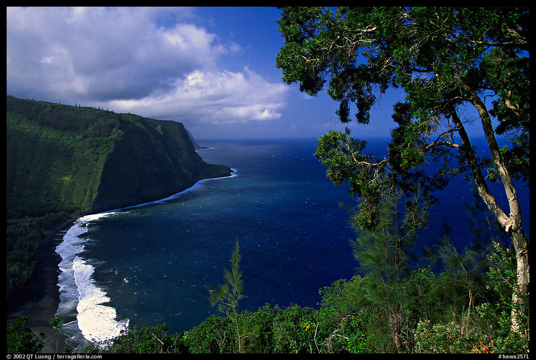 Waipio Valley. Big Island, Hawaii, USA