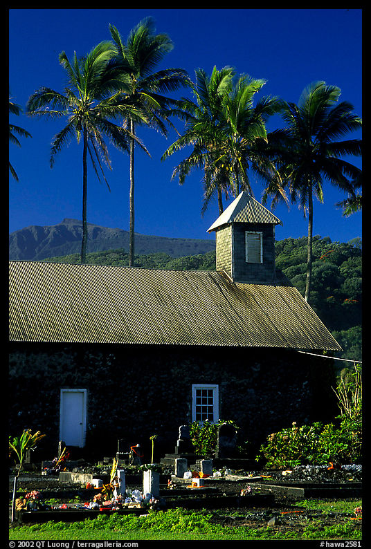Church (1860) and palm trees, Keanae Peninsula. Maui, Hawaii, USA