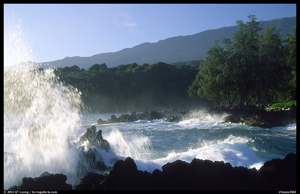 Crashing wave, Keanae Peninsula. Maui, Hawaii, USA