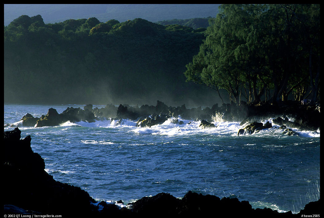 Crashing surf, Keanae Peninsula. Maui, Hawaii, USA