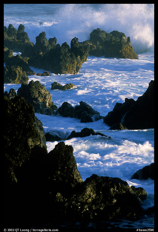 Sharp volcanic Rocks and surf, Keanae Peninsula. Maui, Hawaii, USA