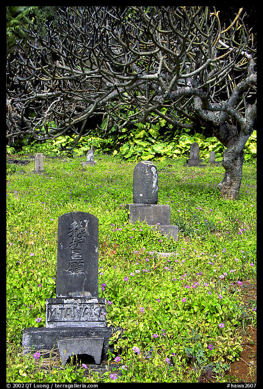 Historic Japanese cemetery in Hana. Maui, Hawaii, USA