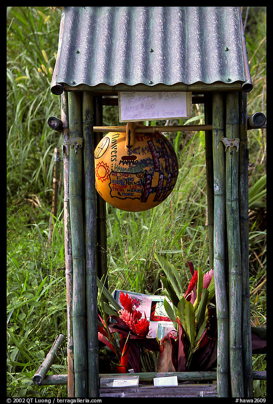 Self-serve flower and fruit stand. Maui, Hawaii, USA