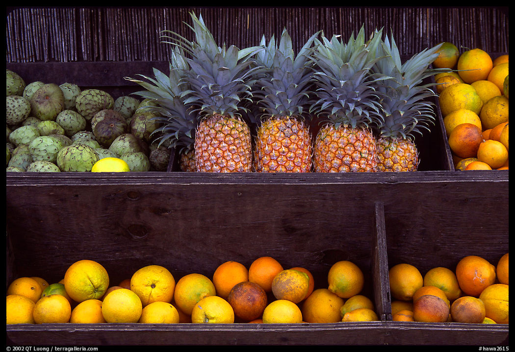Fruits at a roadside stand. Maui, Hawaii, USA