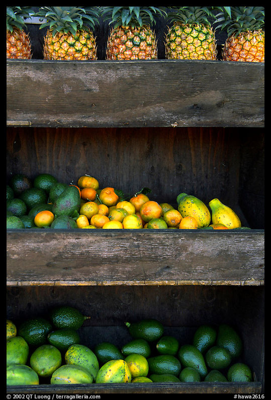 Fruits at a roadside stand. Maui, Hawaii, USA