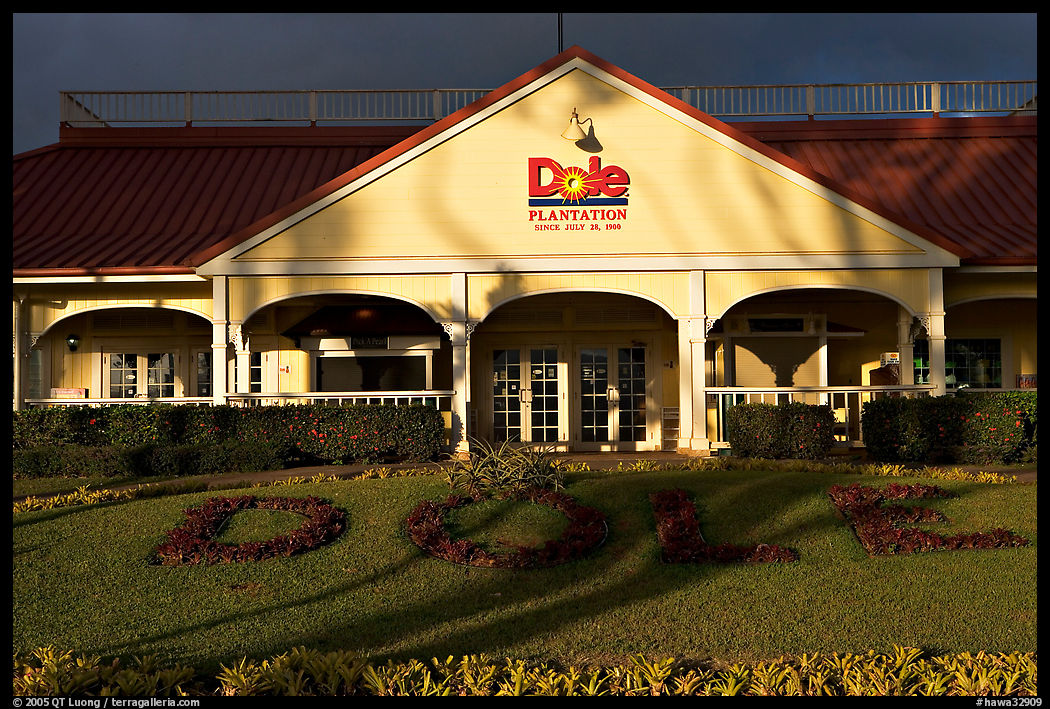 Dole Plantation visitor center. Oahu island, Hawaii, USA