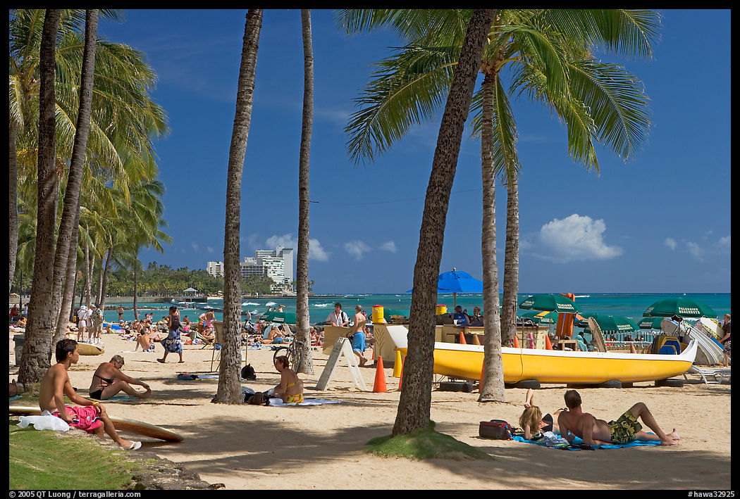 Beach scene with palm trees. Waikiki, Honolulu, Oahu island, Hawaii, USA