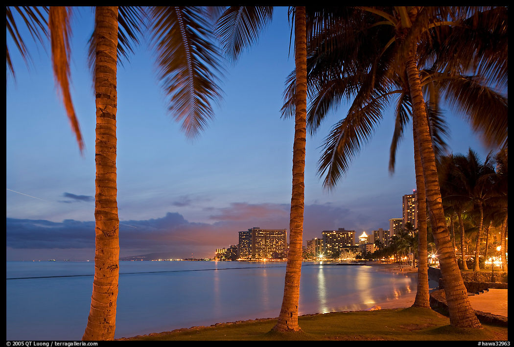 Palm trees and Waikiki beach at dusk. Waikiki, Honolulu, Oahu island, Hawaii, USA