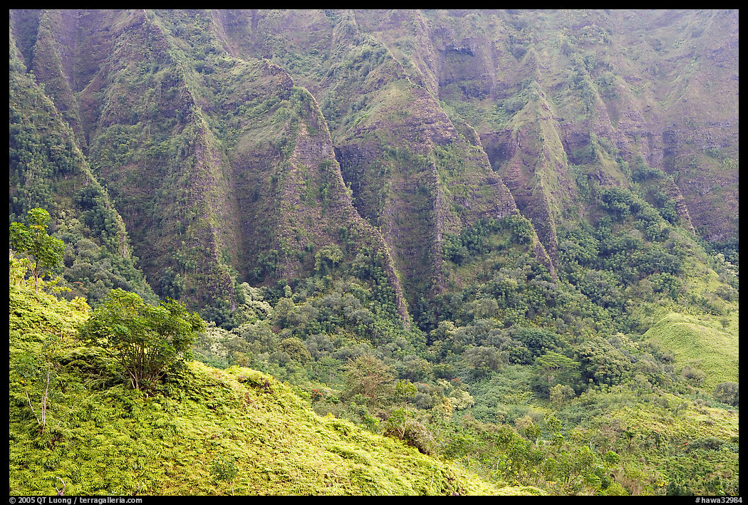 Flutted mountains near Pali highway,. Oahu island, Hawaii, USA