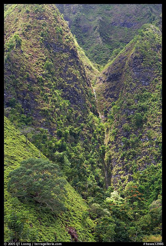 Steep walls covered with vegetation, Koolau Mountains. Oahu island, Hawaii, USA
