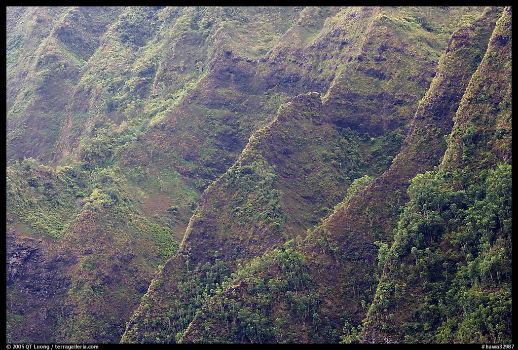Steep ridges covered with tropical vegetation, Koolau Mountains. Oahu island, Hawaii, USA