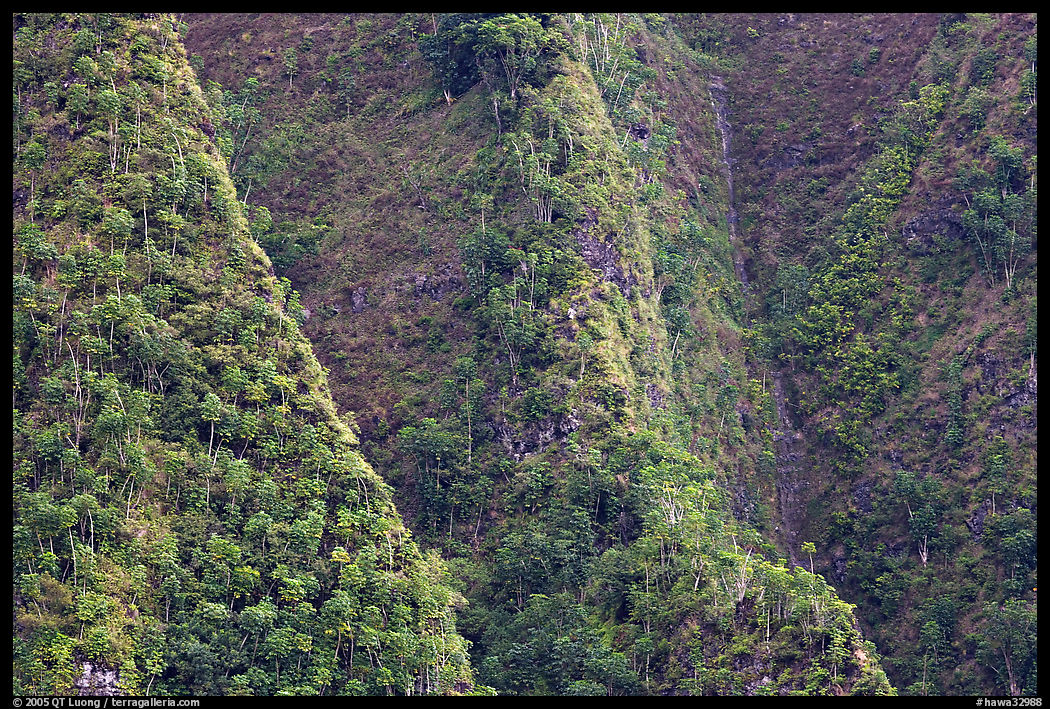 Steep ridges near Pali Highway, Koolau Mountains. Oahu island, Hawaii, USA