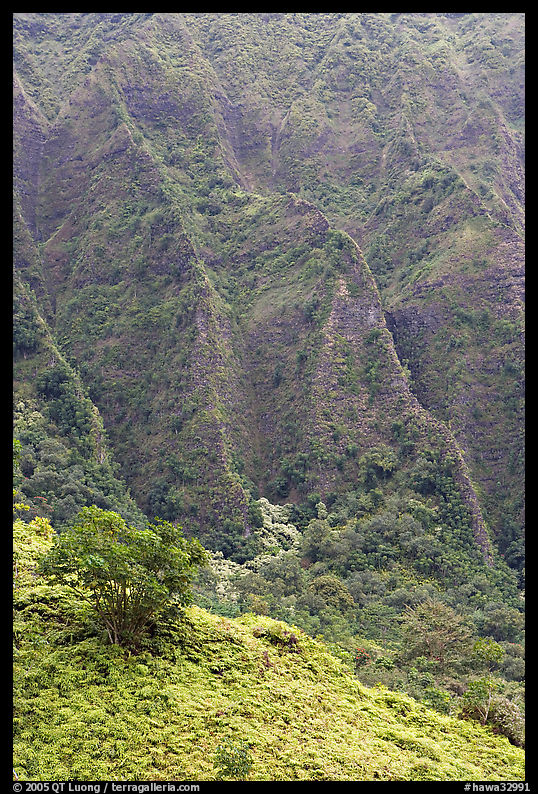 Hillside and Pali. Oahu island, Hawaii, USA
