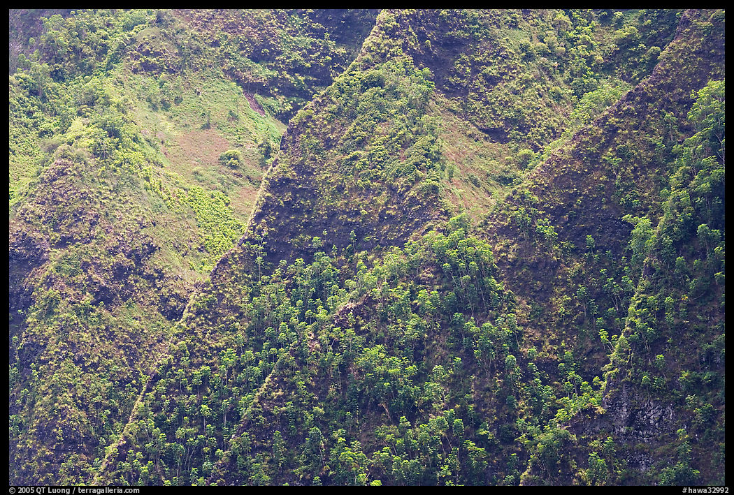 Ridges on pali. Oahu island, Hawaii, USA