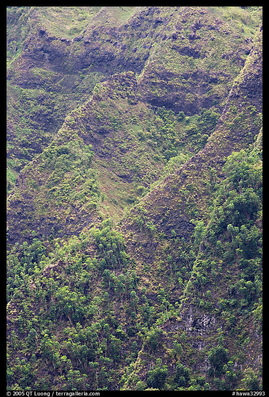 Ridges on pali. Oahu island, Hawaii, USA