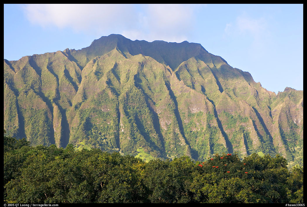 Fluted mountains, Koolau range, early morning. Oahu island, Hawaii, USA