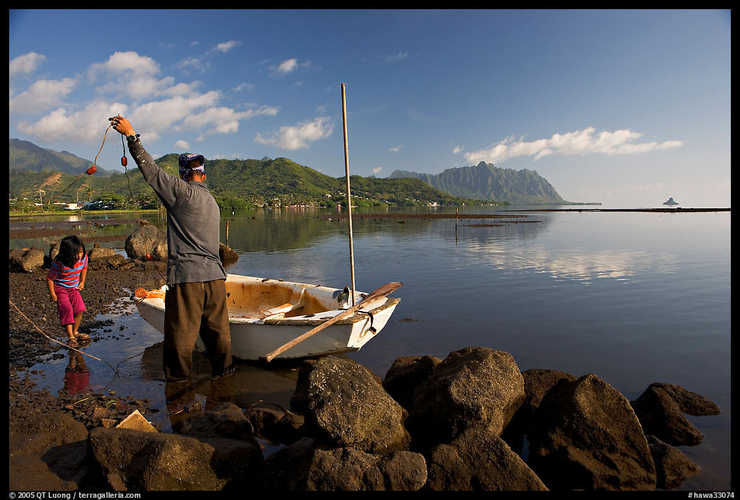 Fisherman pulling out fish out a net, with girl looking, Kaneohe Bay, morning. Oahu island, Hawaii, USA