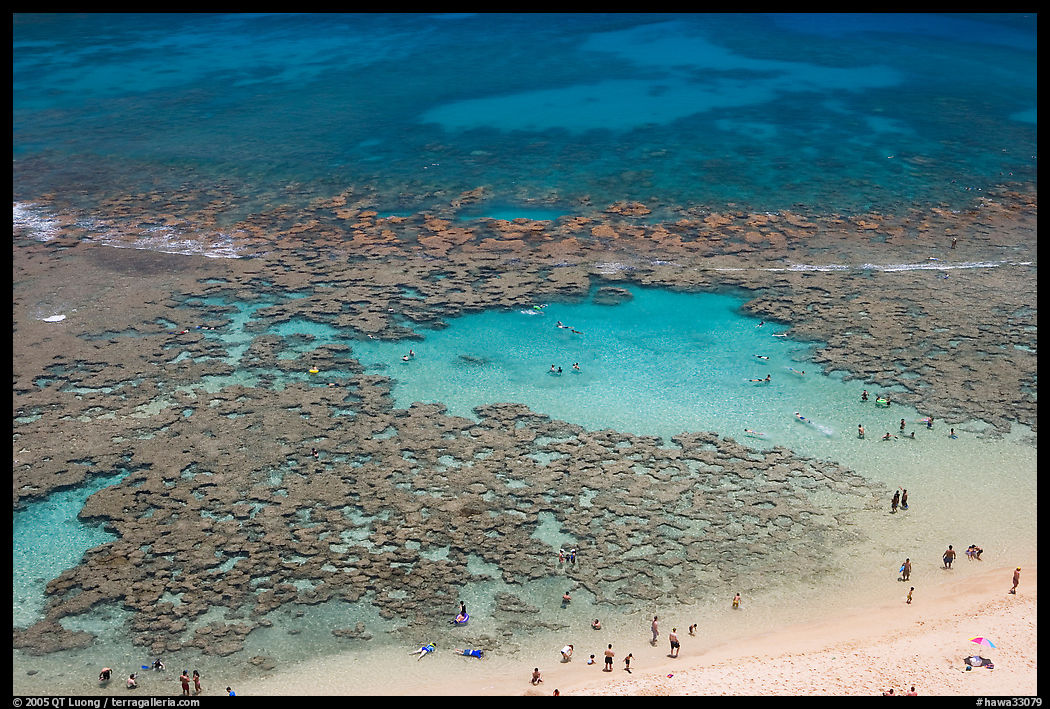 People in the water in the reefs of Hanauma Bay. Oahu island, Hawaii, USA