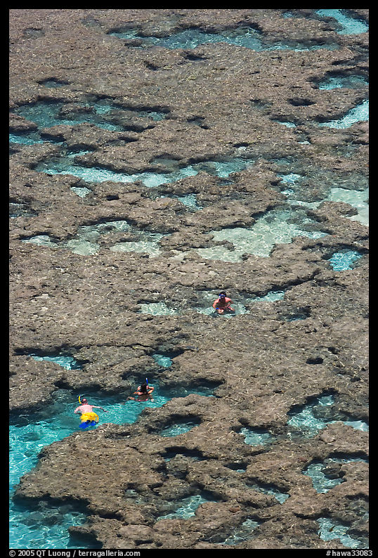 Snorklers in the Hanauma Bay reefs. Oahu island, Hawaii, USA
