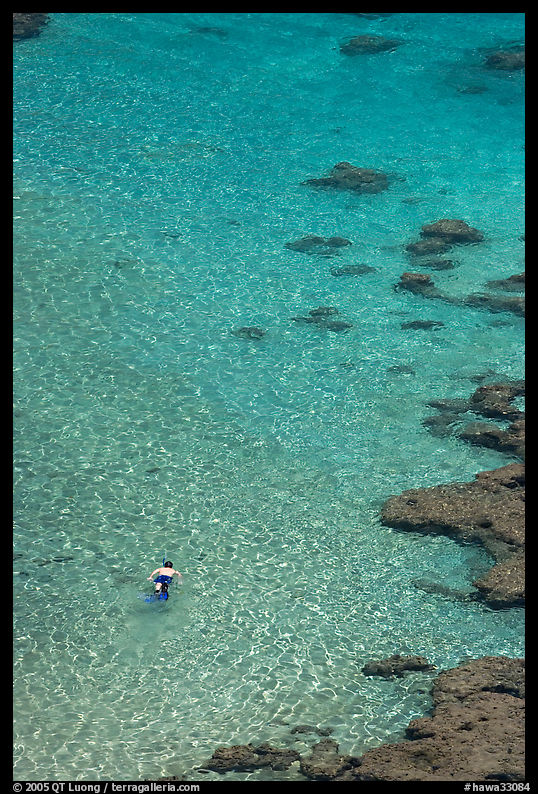 Snorkler,  Hanauma Bay. Oahu island, Hawaii, USA