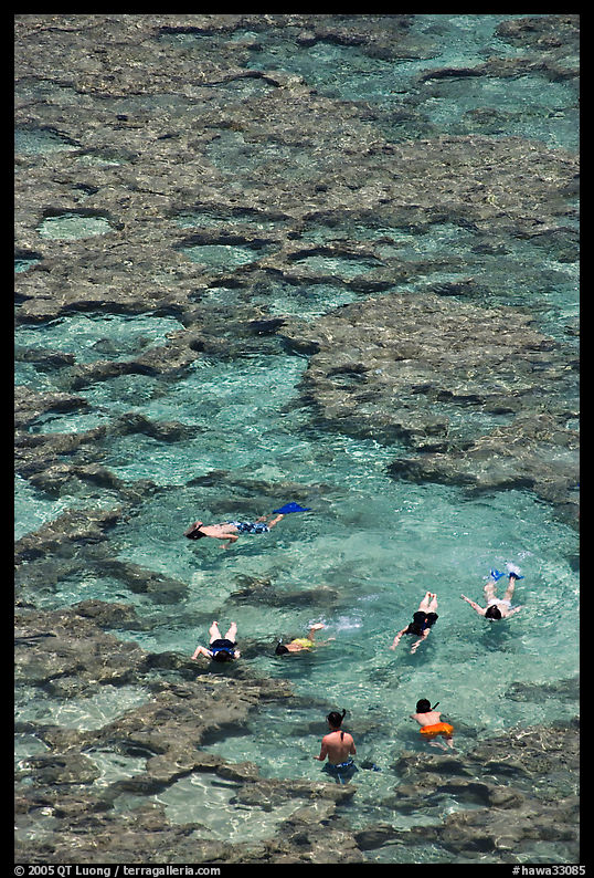 Snorkling in Hanauma Bay. Oahu island, Hawaii, USA