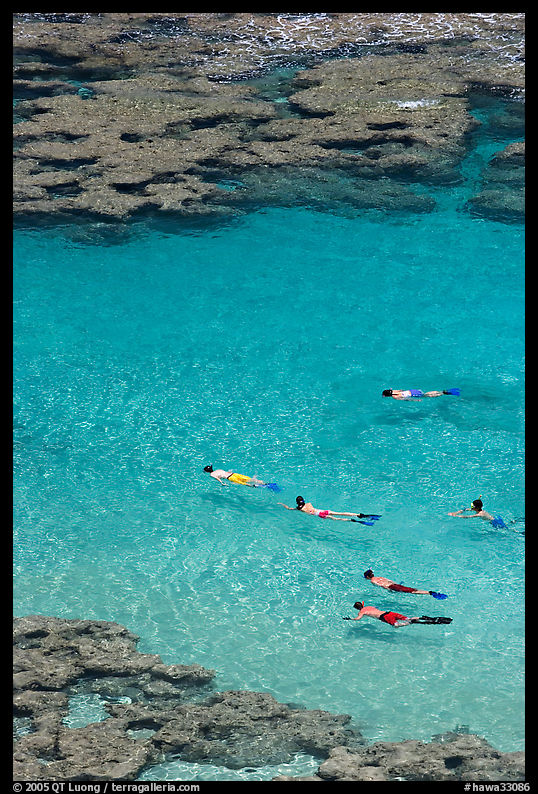 Swimming in Hanamau Bay with snorkels. Oahu island, Hawaii, USA