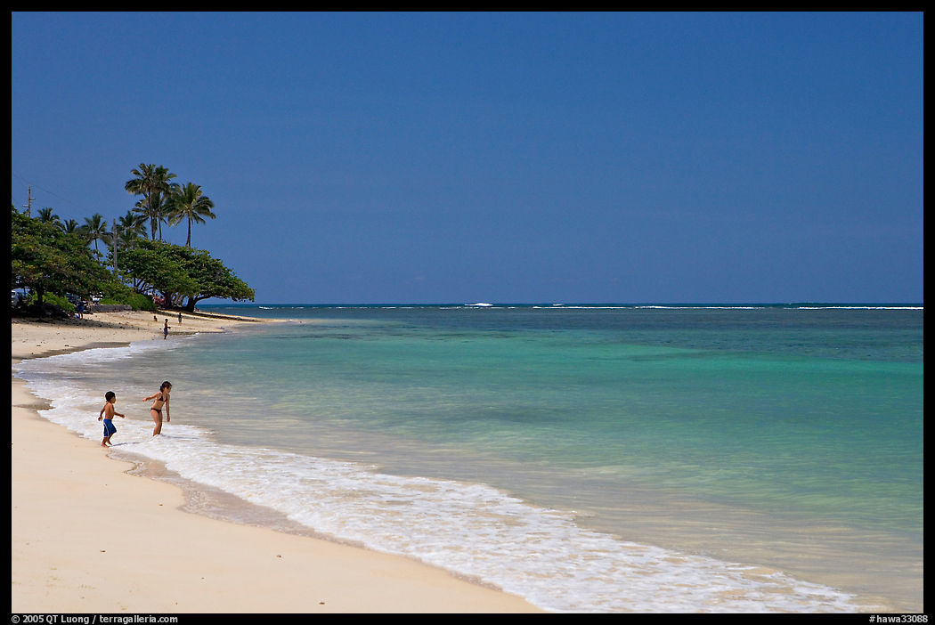 Beach, north shore. Oahu island, Hawaii, USA