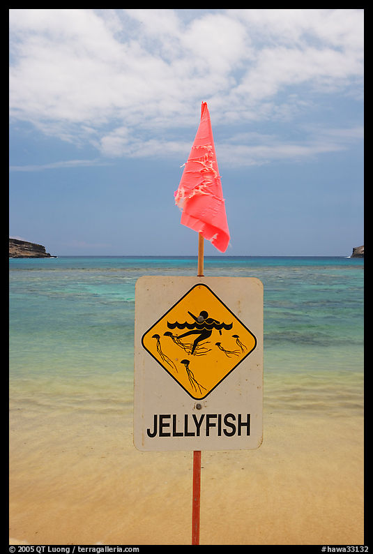 Sign warning against jellyfish,  Hanauma Bay. Oahu island, Hawaii, USA