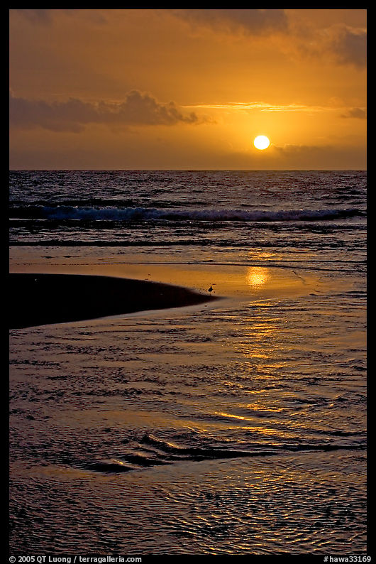 Sun and bird, mouth of the Wailua River. Kauai island, Hawaii, USA