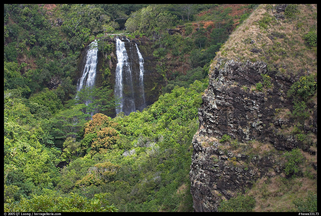 Opaekaa Falls and cliff. Kauai island, Hawaii, USA