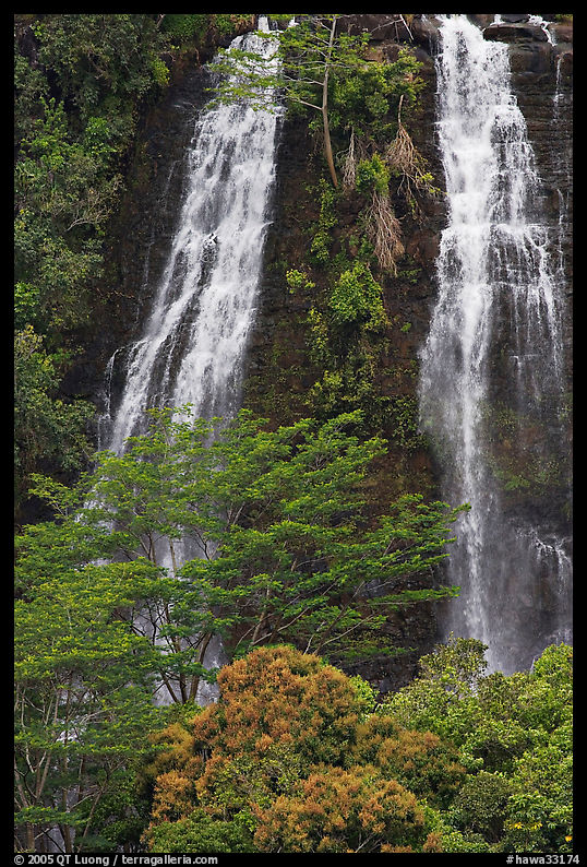 Opaekaa Falls. Kauai island, Hawaii, USA