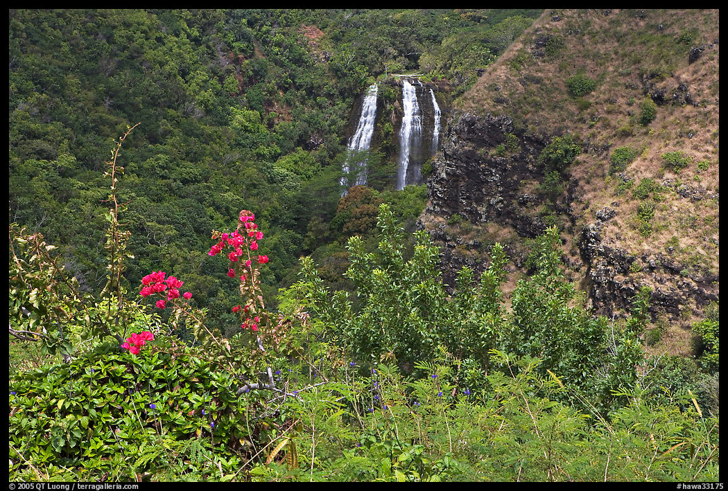 Opaekaa Falls and tropical vegetation, mid-morning. Kauai island, Hawaii, USA