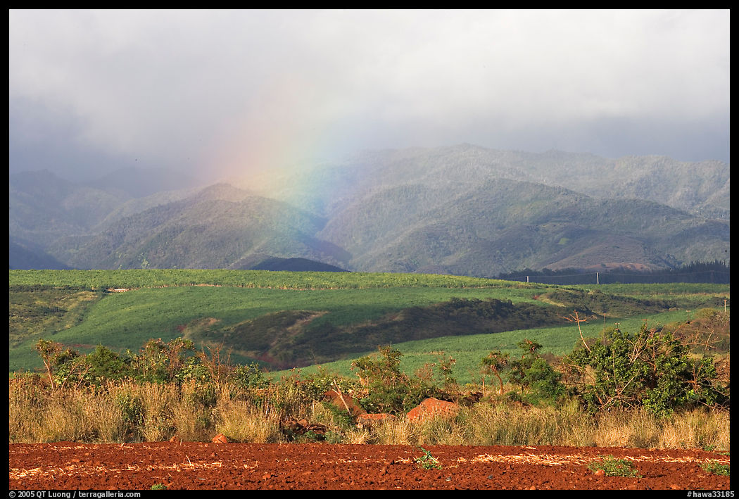 Field, hills, and rainbow. Kauai island, Hawaii, USA