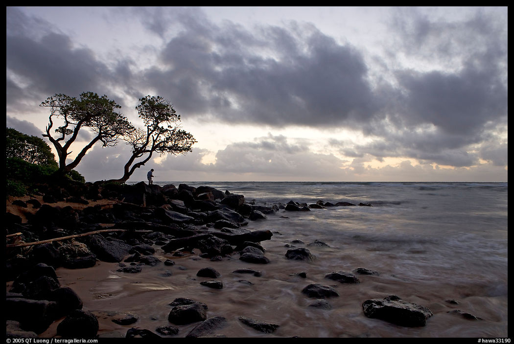 Fisherman, trees, and ocean, dawn. Kauai island, Hawaii, USA