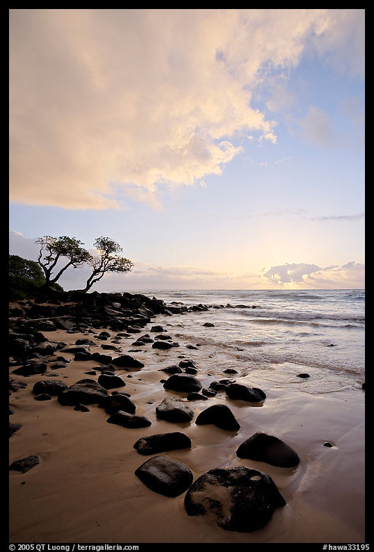 Windblown trees, boulders, and clouds, Lydgate Park, sunrise. Kauai island, Hawaii, USA