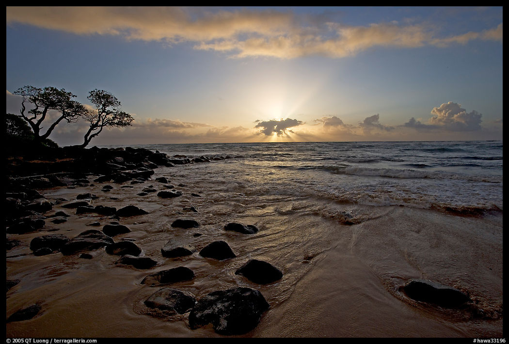 Windblown trees, boulders, and clouds, Lydgate Park, sunrise. Kauai island, Hawaii, USA