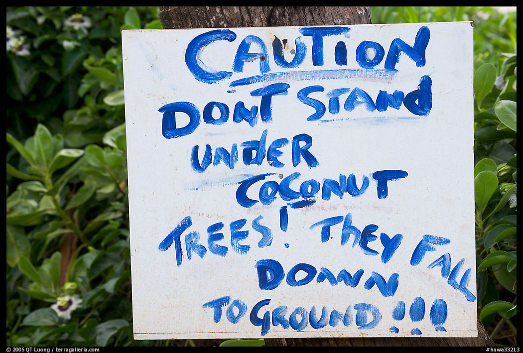Hand written sign cautioning against falling coconut. Kauai island, Hawaii, USA