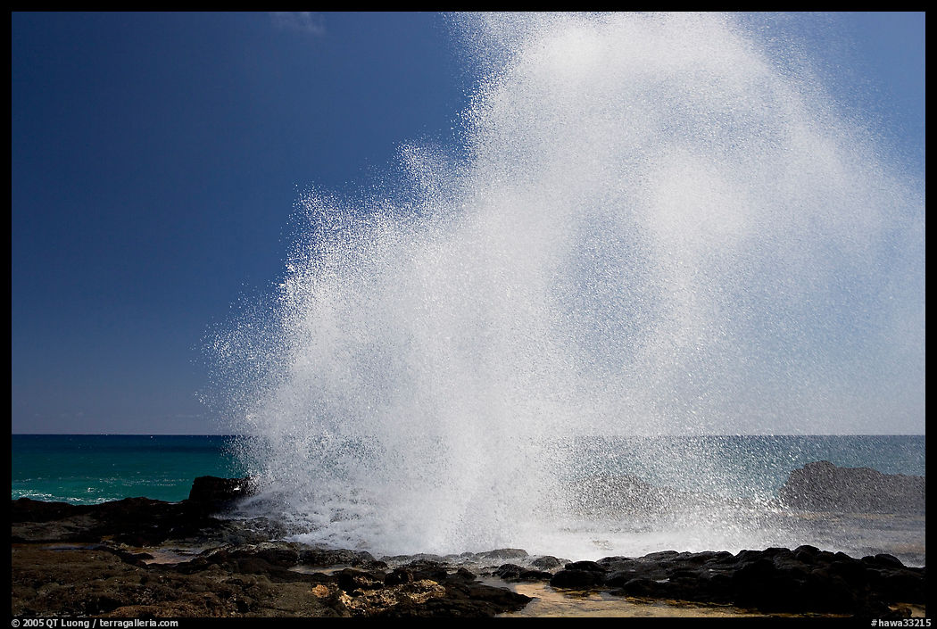 Stream of water shooting up from Spouting Horn. Kauai island, Hawaii, USA