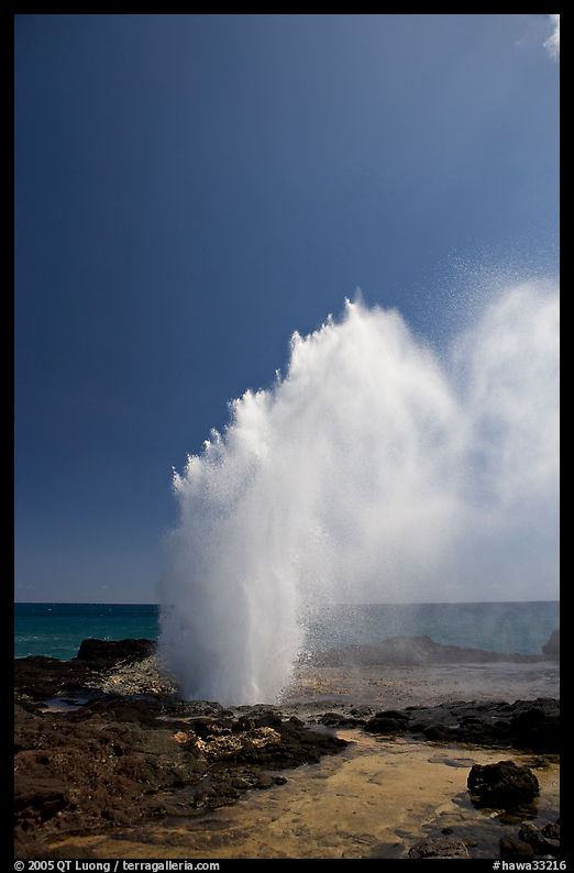 Stream of water shooting up from blowhole. Kauai island, Hawaii, USA