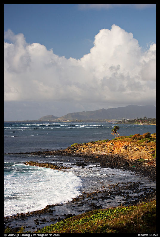 Coastline north of Kapaa, early morning. Kauai island, Hawaii, USA