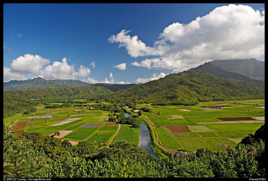 Hanalei Valley, mid-day. Kauai island, Hawaii, USA