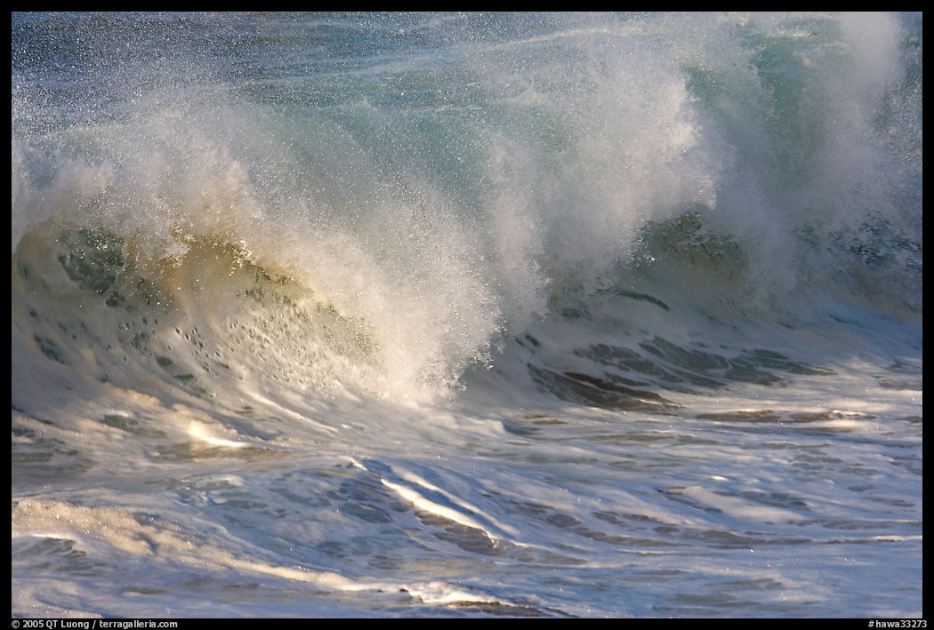 Breaking wave. North shore, Kauai island, Hawaii, USA