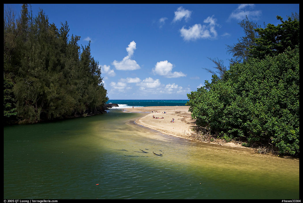 Stream and beach. North shore, Kauai island, Hawaii, USA
