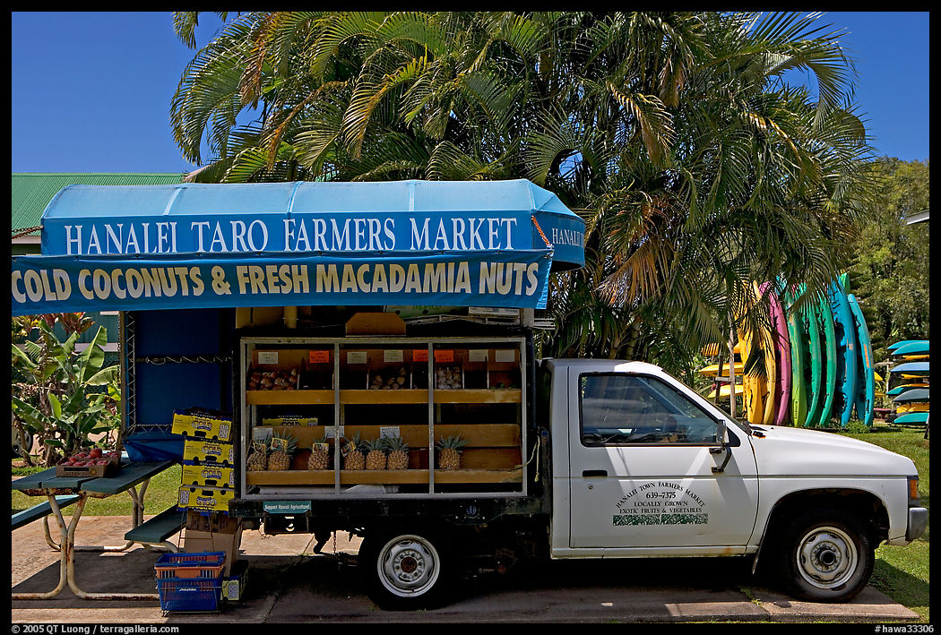 Pickup truck transformed into a fruit stand. Kauai island, Hawaii, USA