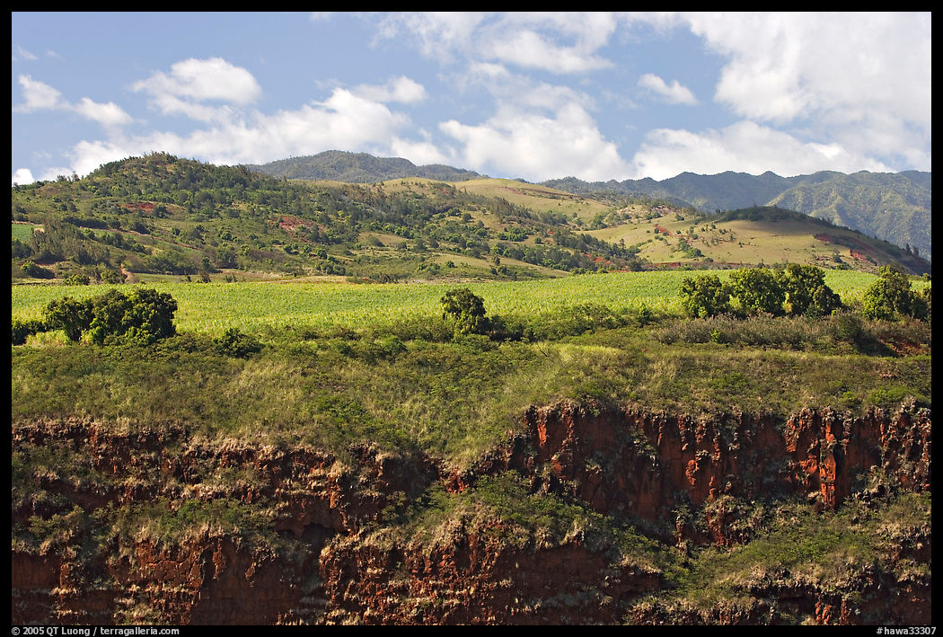 Cliff, field, and hills, Hanapepe overlook. Kauai island, Hawaii, USA